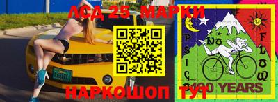 индика Краснознаменск