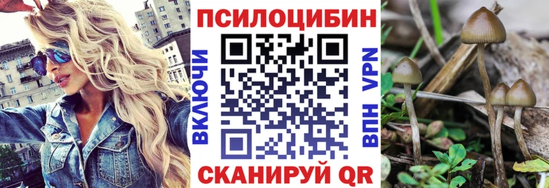 купить наркотик  OMG вход  Псилоцибиновые грибы Psilocybe  Карталы 