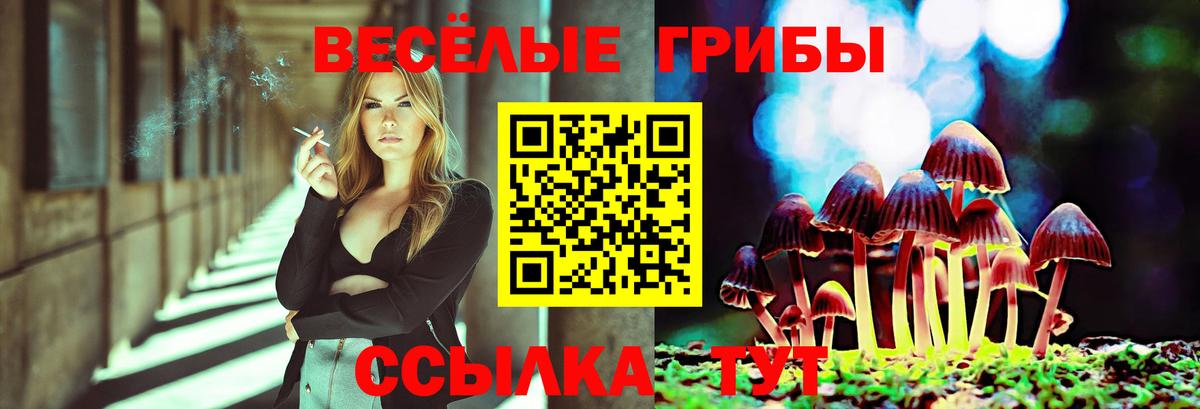 Галлюциногенные грибы Psilocybe Карталы