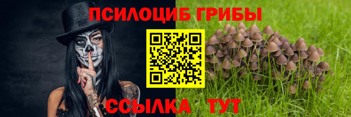 Карталы  закладка  Вход с VPN  Псилоцибиновые грибы Cubensis 
